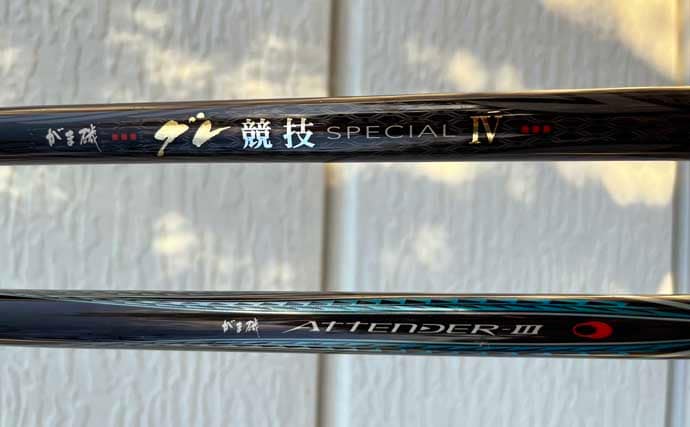 口太と尾長を獲り分ける寒グレ戦略【三重】ハリ・やり取り・狙うポイントを徹底解説