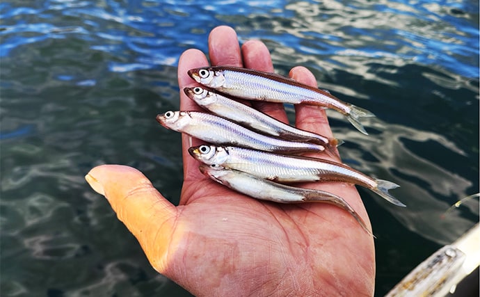 「深場が狙い目!」芦ノ湖ワカサギ釣りガイド【神奈川】温泉&グルメも楽しめる人気フィールド