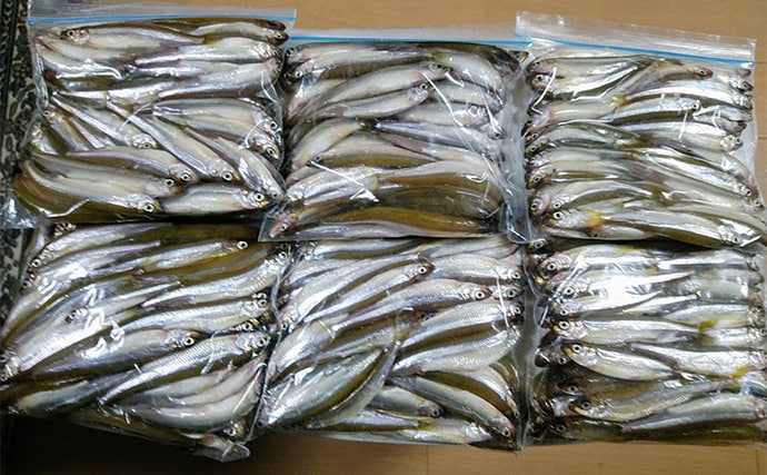 「深場が狙い目!」芦ノ湖ワカサギ釣りガイド【神奈川】温泉&グルメも楽しめる人気フィールド
