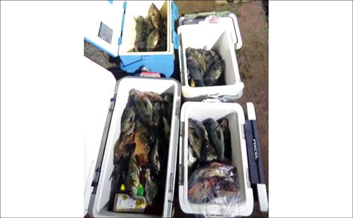 関西エリアの【船釣り特選釣果】ディープタイラバで70cm級大ダイを好捕！深場攻略が的中