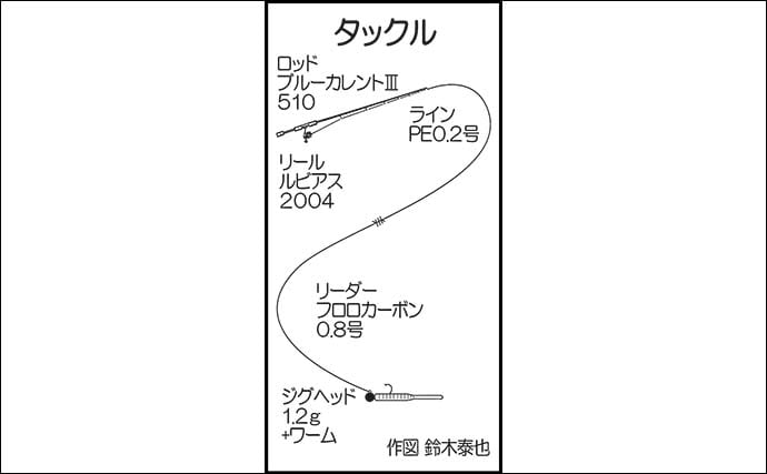 弘漁港の朝マヅメアジングで33cmの尺サイズ登場！【福岡】サバ乱舞の中で本命捕獲