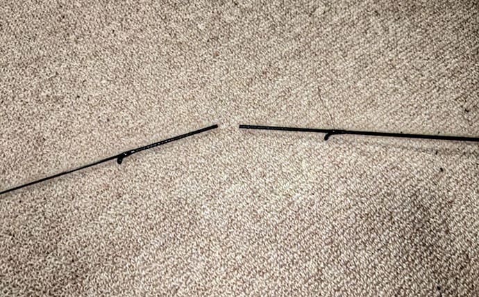 「運も実力の内？」 1投でランカーバス手中の筆者が実践する【釣運アップの秘訣】