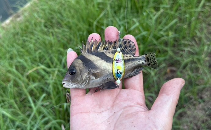 「25cm級良型ハゼがヒット！」ハゼスプで多彩なゲスト含みアタリ堪能【静岡・大賀茂川】