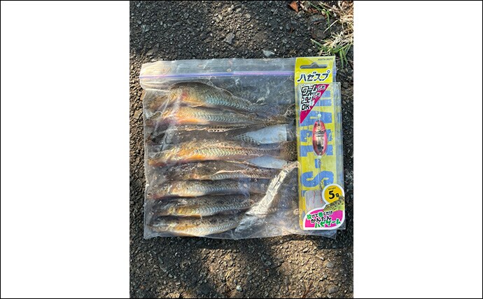 「25cm級良型ハゼがヒット！」ハゼスプで多彩なゲスト含みアタリ堪能【静岡・大賀茂川】