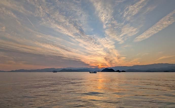 「ツツイカ3種そろい踏み！」イカメタルゲームでヤリイカ・アカイカ・スルメイカ手中【三重・錦沖】