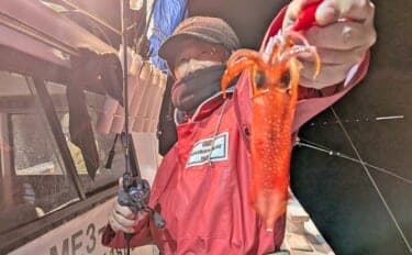 「ツツイカ3種そろい踏み！」イカメタルゲームでヤリイカ・アカイカ・スルメイカ手中【三重・錦沖】