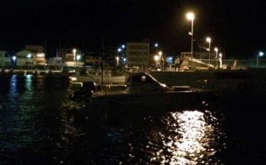 夜の常夜灯に集まる魚たち　「明」にはアジで「暗」にはメバル？