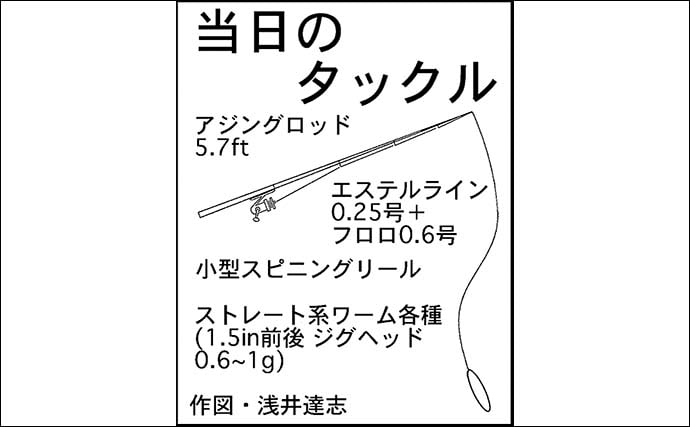 「港のニャンコに魚をおすそ分け」志摩エリアのナイトアジングで19cmを頭に40匹手中【三重】