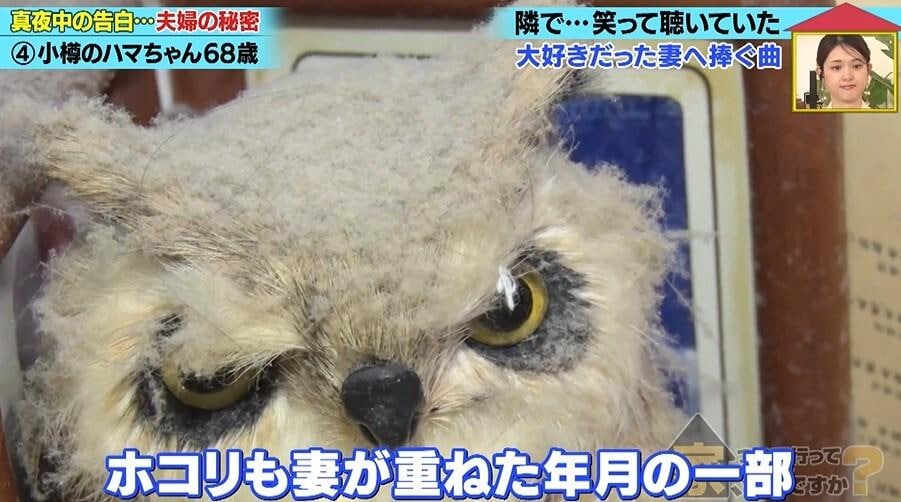 家、ついて行ってイイですか?