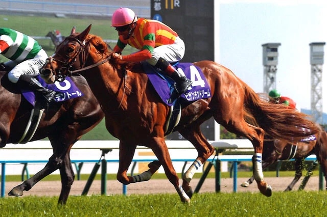 今年の天皇賞・春をアタマ差で2着と実力を見せつけたビザンチンドリーム。前走のフォワ賞（フランスG2）も快勝！　※写真／JRA