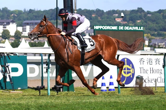 日本では4戦1勝だが、前走のギヨームドルナノ賞（フランスG2）は圧勝だったアロヒアリイ。ジャイアントキリングなるか!?