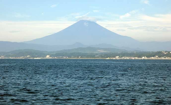 「強い引きと極上の味!」相模湾アマダイ攻略ガイド タックル・仕掛け・釣り方の極意を伝授