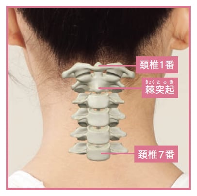 頚椎1番、頚椎7番、棘突起の位置【背骨コンディショニング】