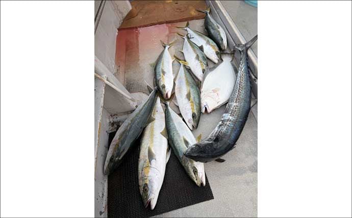 【沖釣り釣果速報】ヒラメ連発に青物交じり！玄界灘の落とし込み釣りが好調継続中（福岡）