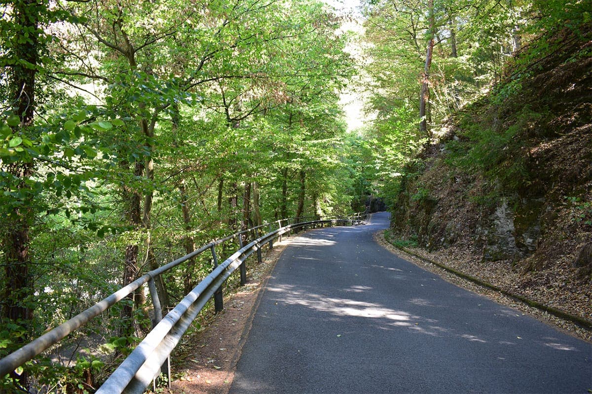 【1】道幅(狭い生活道路、すれ違い困難な道)1