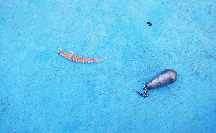 「何もしない」が正解！ 東京湾バチコンアジングでアジ115匹と入れ食い堪能【千葉・栄宝丸】