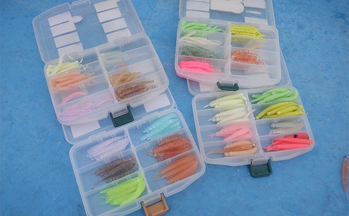 「何もしない」が正解！ 東京湾バチコンアジングでアジ115匹と入れ食い堪能【千葉・栄宝丸】