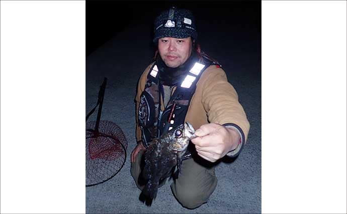 漁港での電気ウキ釣りで25cm級の良型メバル連打！ 夜メバル釣りが最盛期へ