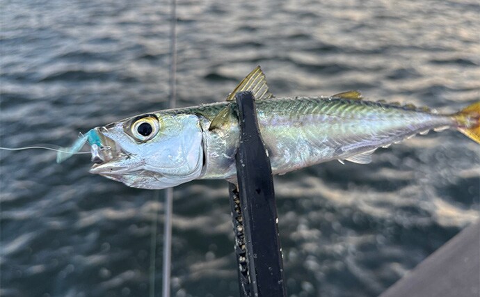 アジングタックルでサバゲーム満喫【大阪南港】アシストフック着用ジグ単リグで挑戦