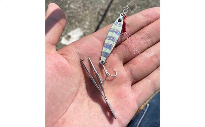 ライトショアジギング超入門(SLJ)メタルジグのフック(針)は沢山つければOK?