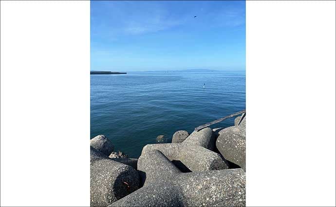 ライトショアジギング超入門(SLJ)メタルジグのフック(針)は沢山つければOK?