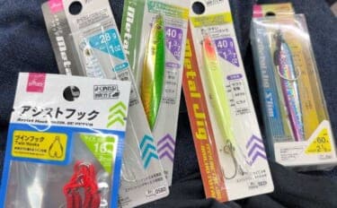 ライトショアジギング超入門(SLJ)メタルジグのフック(針)は沢山つければOK?