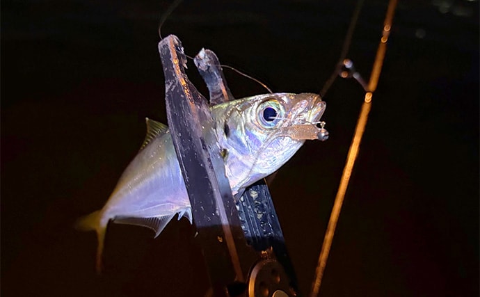 アジングではPEラインの使用は「ダメじゃないけど微妙」？　その理由を解説