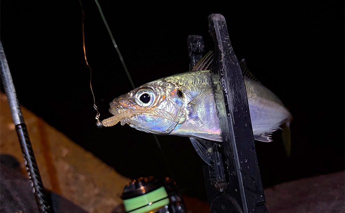 アジングではPEラインの使用は「ダメじゃないけど微妙」？　その理由を解説