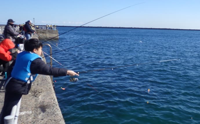 『鹿島港海釣園』でのサヨリ釣りで大苦戦　仕掛けのセレクトが運命を分ける？