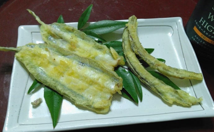 『鹿島港海釣園』でのサヨリ釣りで大苦戦　仕掛けのセレクトが運命を分ける？