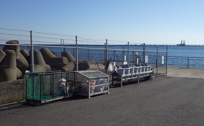 『鹿島港海釣園』でのサヨリ釣りで大苦戦　仕掛けのセレクトが運命を分ける？