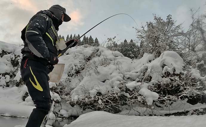 解禁直後の長良川渓流釣りでヒレピンアマゴ連発！【岐阜】20cm級頭にツ抜け達成