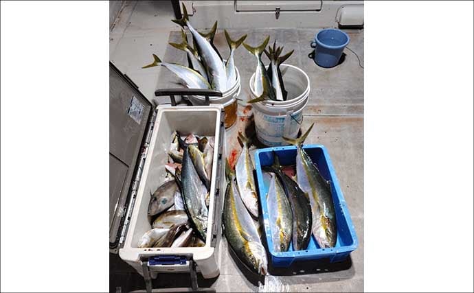 【沖釣り釣果速報】ヒラマサがドンッ!茱崎沖のタテ釣りで青物がバリバリ好反応(福井)