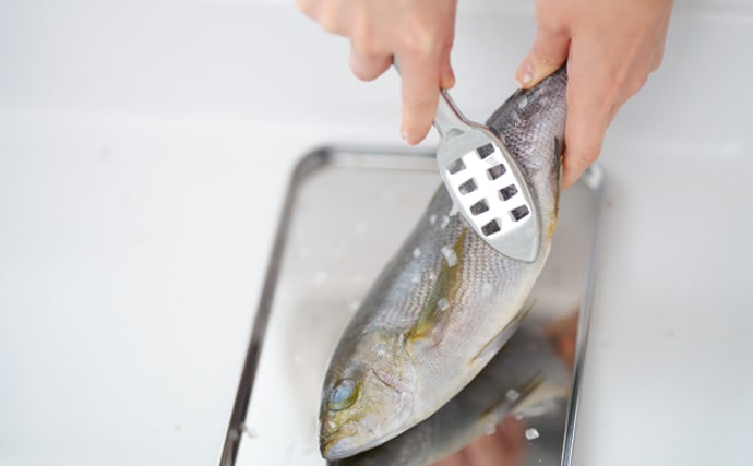 サカナの「鱗（ウロコ）」は調理の邪魔者？それとも美味しい食材？