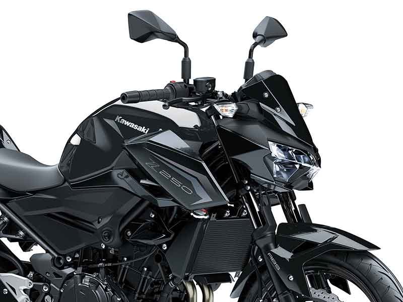 Z250 メイン