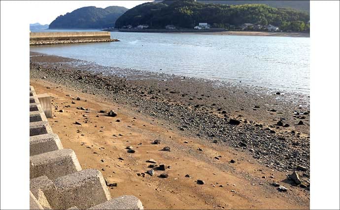 「3月から本格シーズン到来！」 サーフで楽しむ【チヌラバ】ゲームのススメ