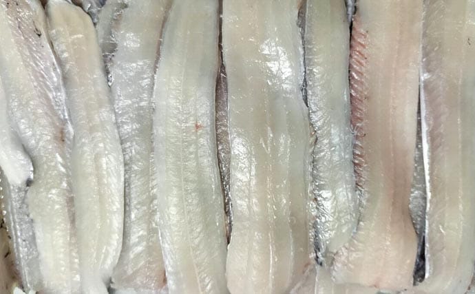 富山湾で旬本番のタチウオを食べ尽くす　刺し身から天ぷらまで絶品料理8選をご紹介