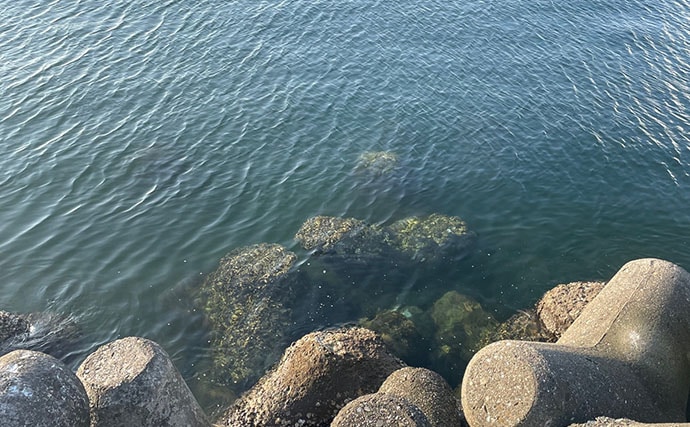 「根掛かり回避のため？」チニングで【オフセットフックが推奨される理由】