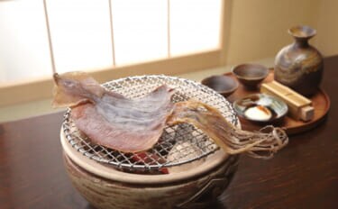 「イカといえばスルメイカ」は過去の話? 海外産の輸入イカの勢力が拡大中