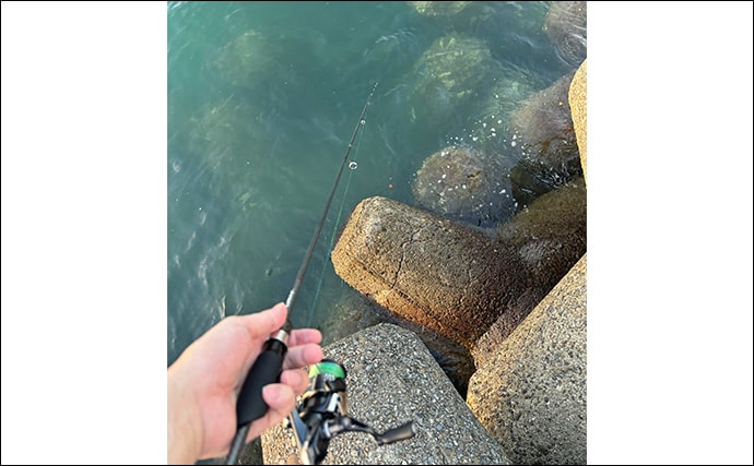 アジングで絶対やってはいけないこと3選 【大アワセ・大きな音・安易なリリース】