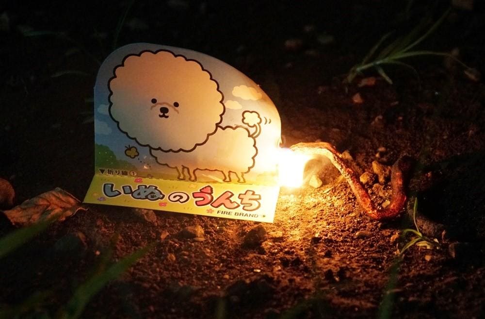 記事画像