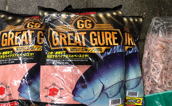 「秋磯の海中はまだまだ冬遠し？」磯フカセ釣りでアイゴの邪魔をかわして30cm級グレを拾い釣り