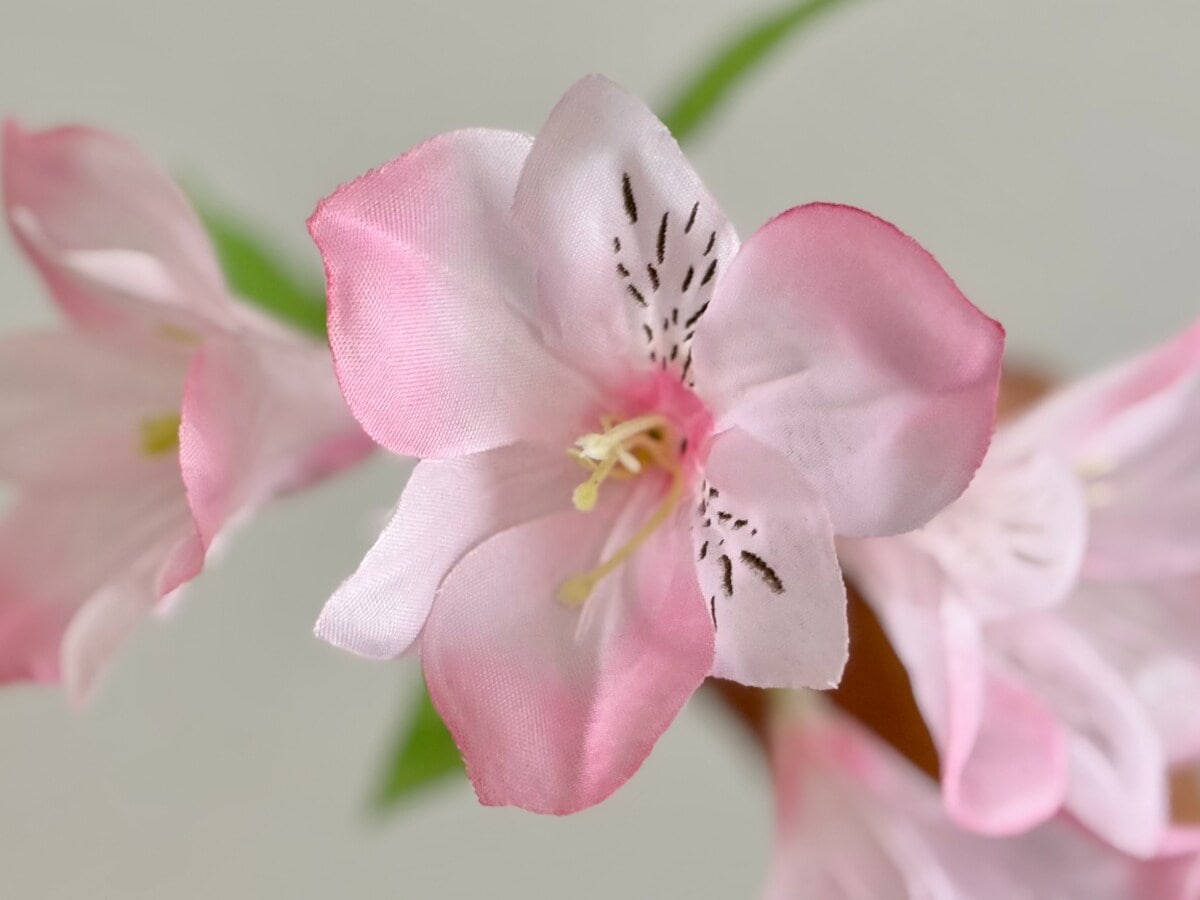 セリアのおすすめ造花10選！高見えでインテリアにもぴったり