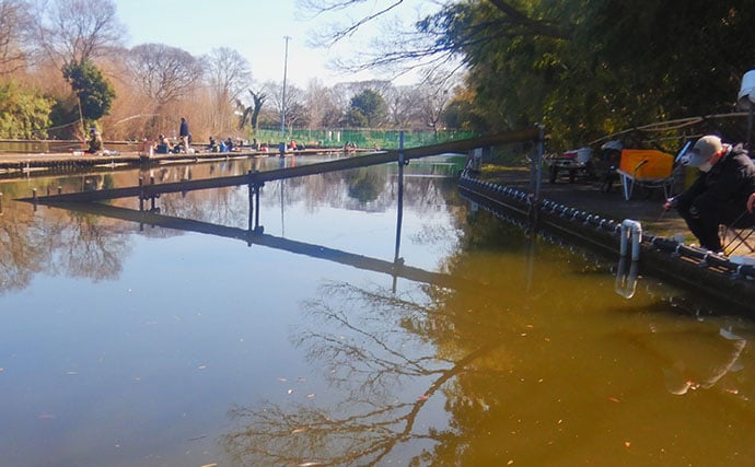 淡水小物釣りでバラタナゴ4束オーバー！【道満河岸ヘラ鮒釣場】開始から爆釣スタート