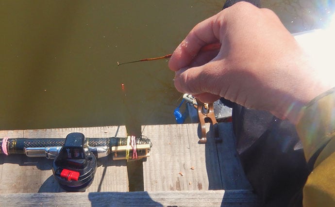 淡水小物釣りでバラタナゴ4束オーバー！【道満河岸ヘラ鮒釣場】開始から爆釣スタート