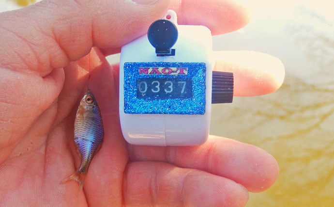 淡水小物釣りでバラタナゴ4束オーバー！【道満河岸ヘラ鮒釣場】開始から爆釣スタート