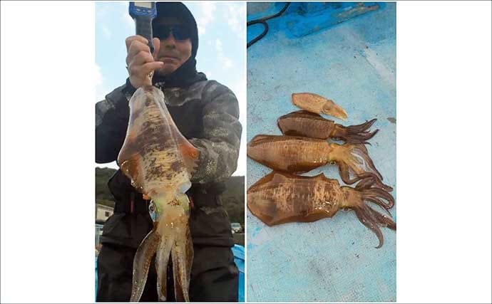 【沖のルアー釣果速報】鳥羽沖キャスティングで船中サワラ15匹！イナダも連発の青物祭り（三重）