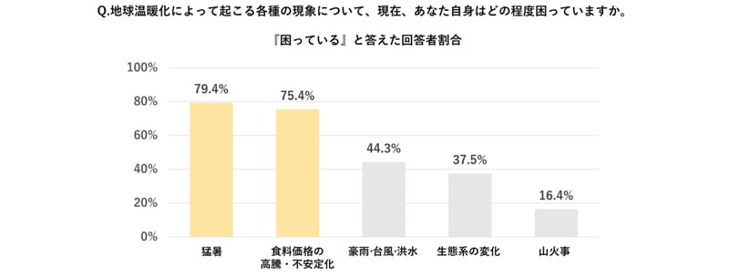2073504_14_original_large