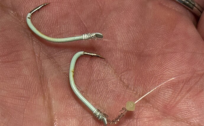 船シマアジ釣りの超難題「口切れ」対策の秘訣　強めのドラグ設定が重要？