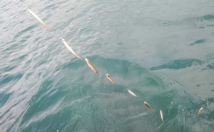 「秋の木崎湖でワカサギ釣りを満喫!」最大11cm頭に573尾キャッチ【長野】